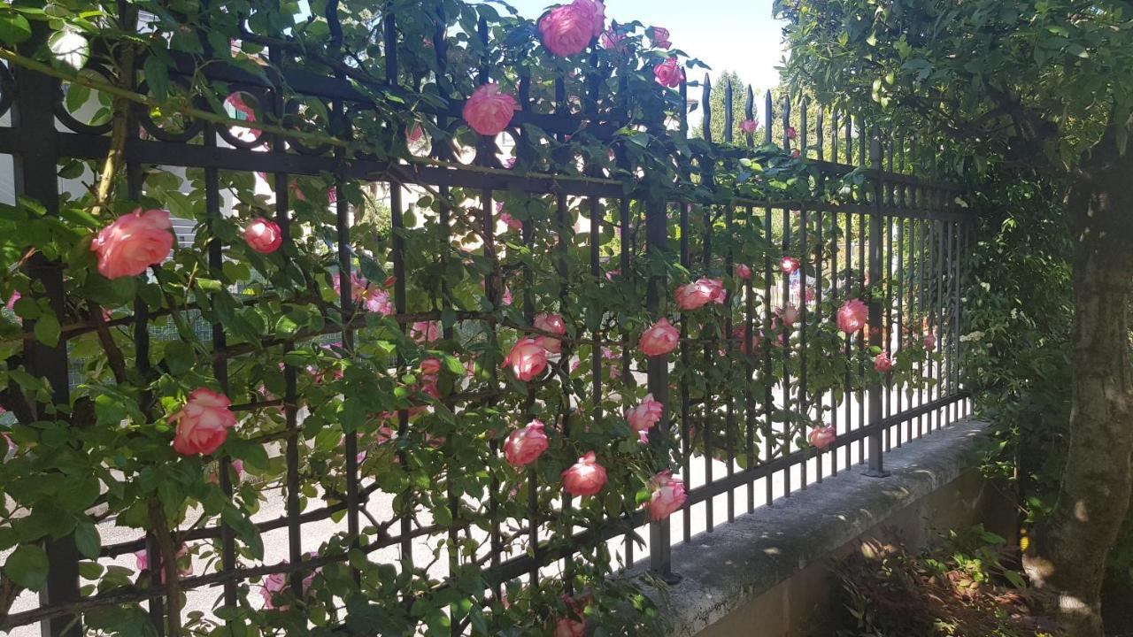 Appartamento Modenese 8 페스키에라델가르다 외부 사진