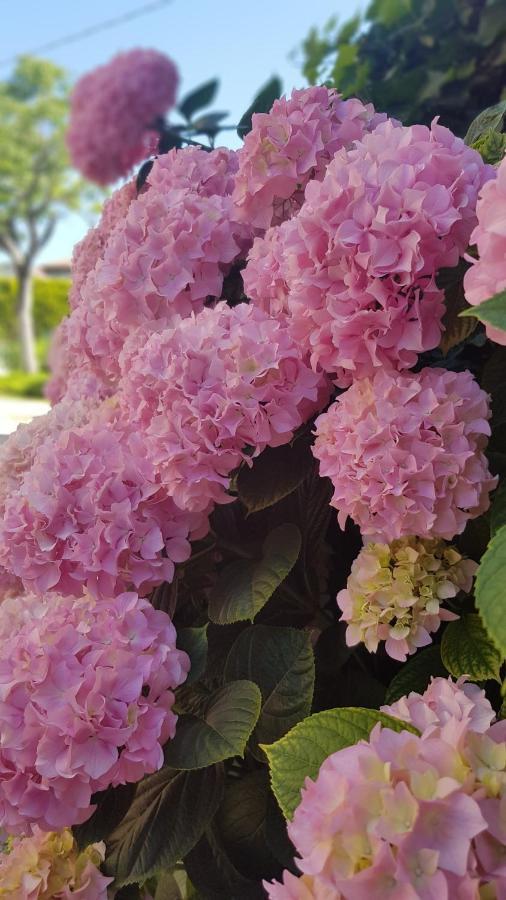 Appartamento Modenese 8 페스키에라델가르다 외부 사진